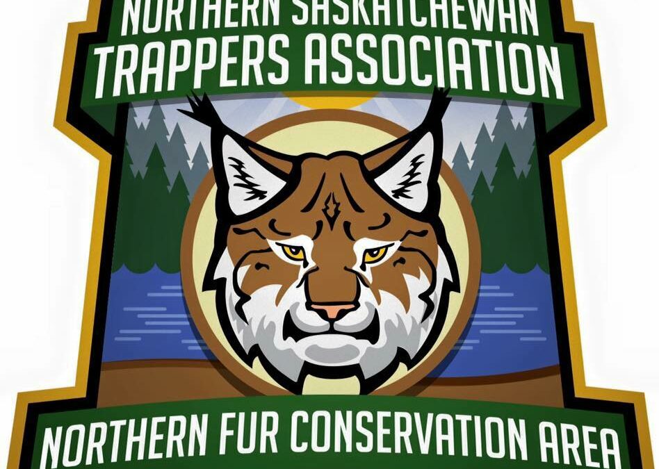 Fur Trappers to gather in La Ronge to discuss future of the industry