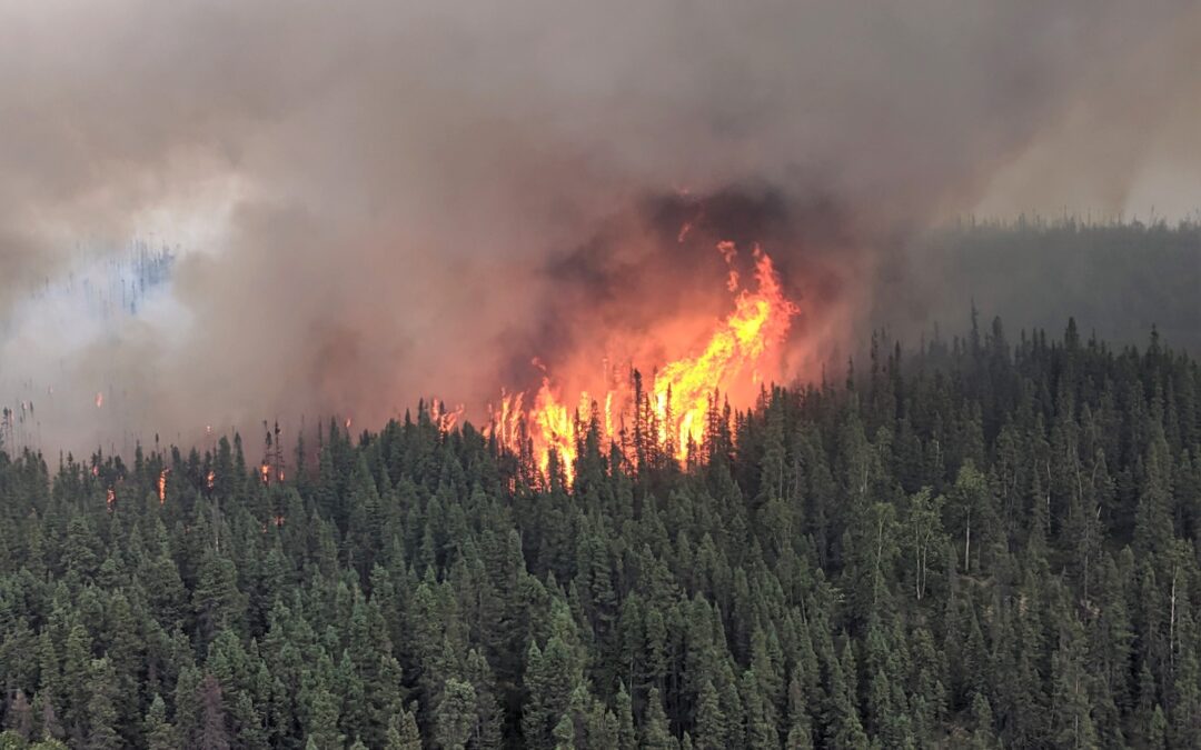 SPSA wildfire update: wetter and cooler weather helps firefighters