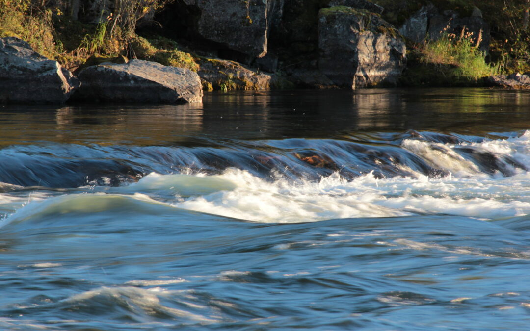 SaskPower has signed an engagement agreement with Ya’ thi Néné Lands and Resources