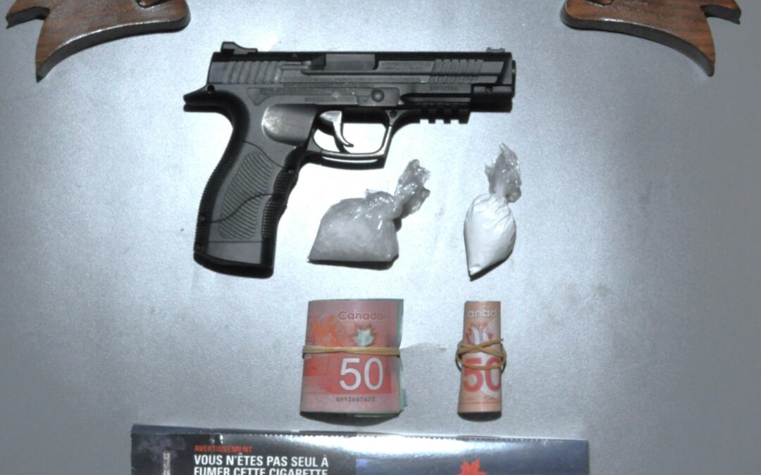 Saskatchewan RCMP seizes illicit drugs in Meadow Lake traffic stop