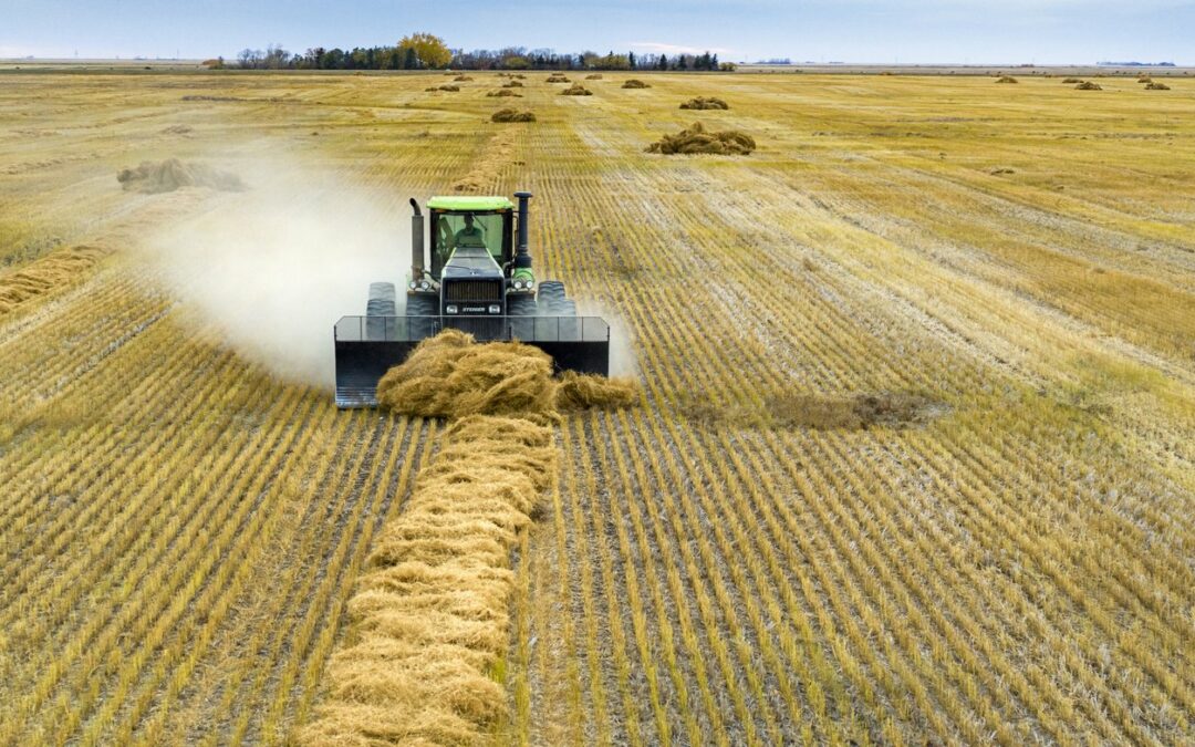 Sask company turns flax straw into solid business