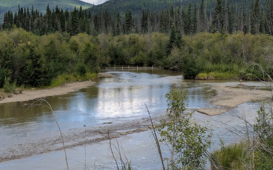 Yukon First Nation calls for accountability over mine disaster