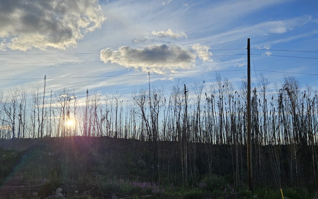 Fire ban lifted for the province