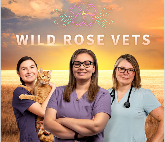 Wild Rose Vets shines a spotlight on Indigenous women veterinarians