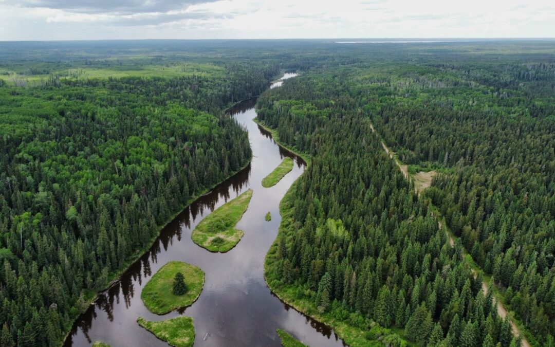Carney-Smith deal will bring carbon capture to Cold Lake. They don’t want it