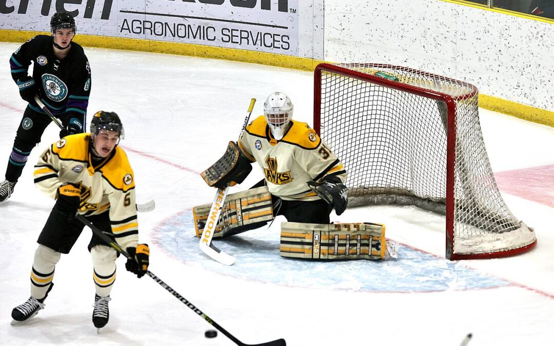 Ice Wolves face hot goaltending in loss to the Hawks