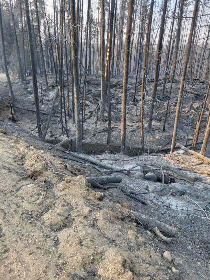 Wildfire response survey now available on SPSA website