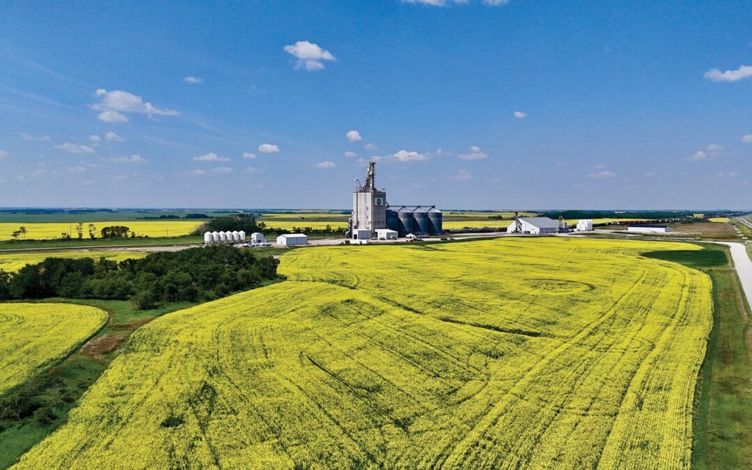Relief as canola tariffs lowered after China trip