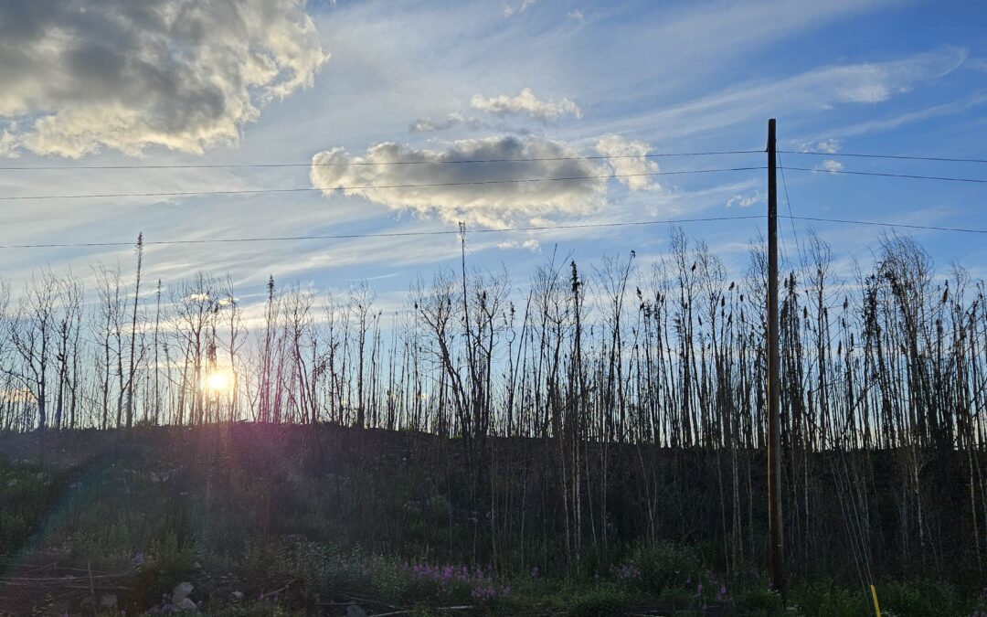 Employee accused of $6M-plus fraud involving Guardians money