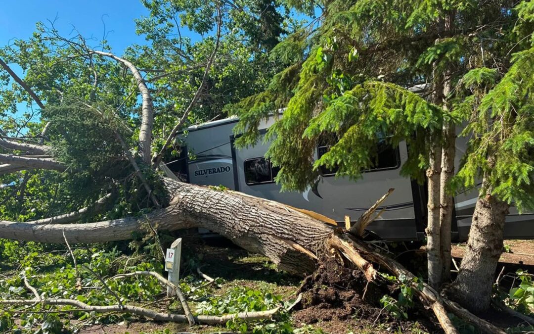 Storm cleanup continues as power returns across northeast Sask